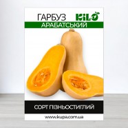 Насіння гарбуза Арабатська, 0,5 кг